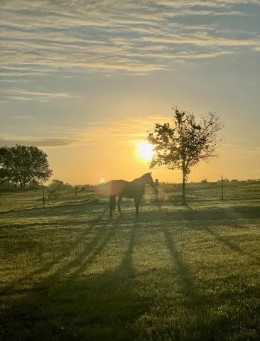 $625,000 | 3389 Sparta Field Road, Waelder, TX 78959