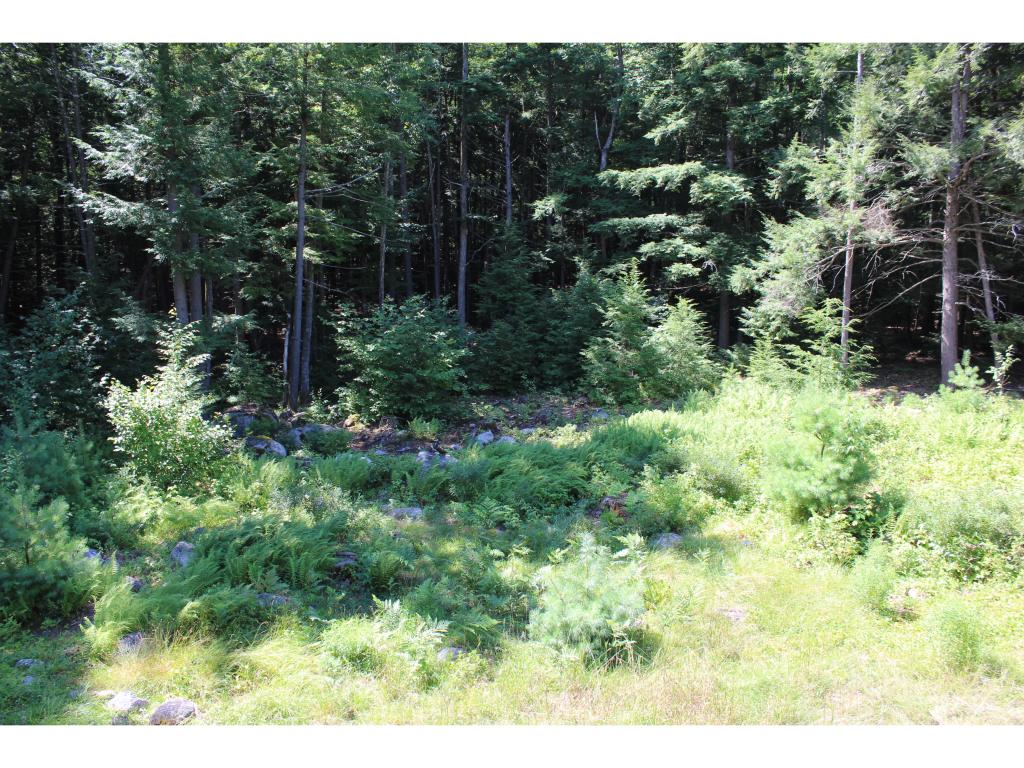 411 Hall Road Barrington, NH 03825 - Photo 23 of 27