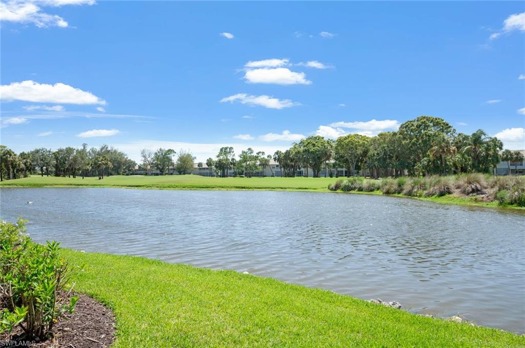 2209 Regal Way Naples, FL 34110 - Photo 23 of 24 a view of a lake with a big yard