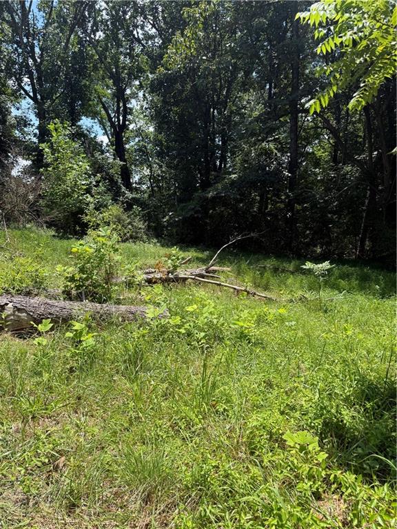217 Bagwell Garland Road Canton, GA 30115 - Photo 11 of 14