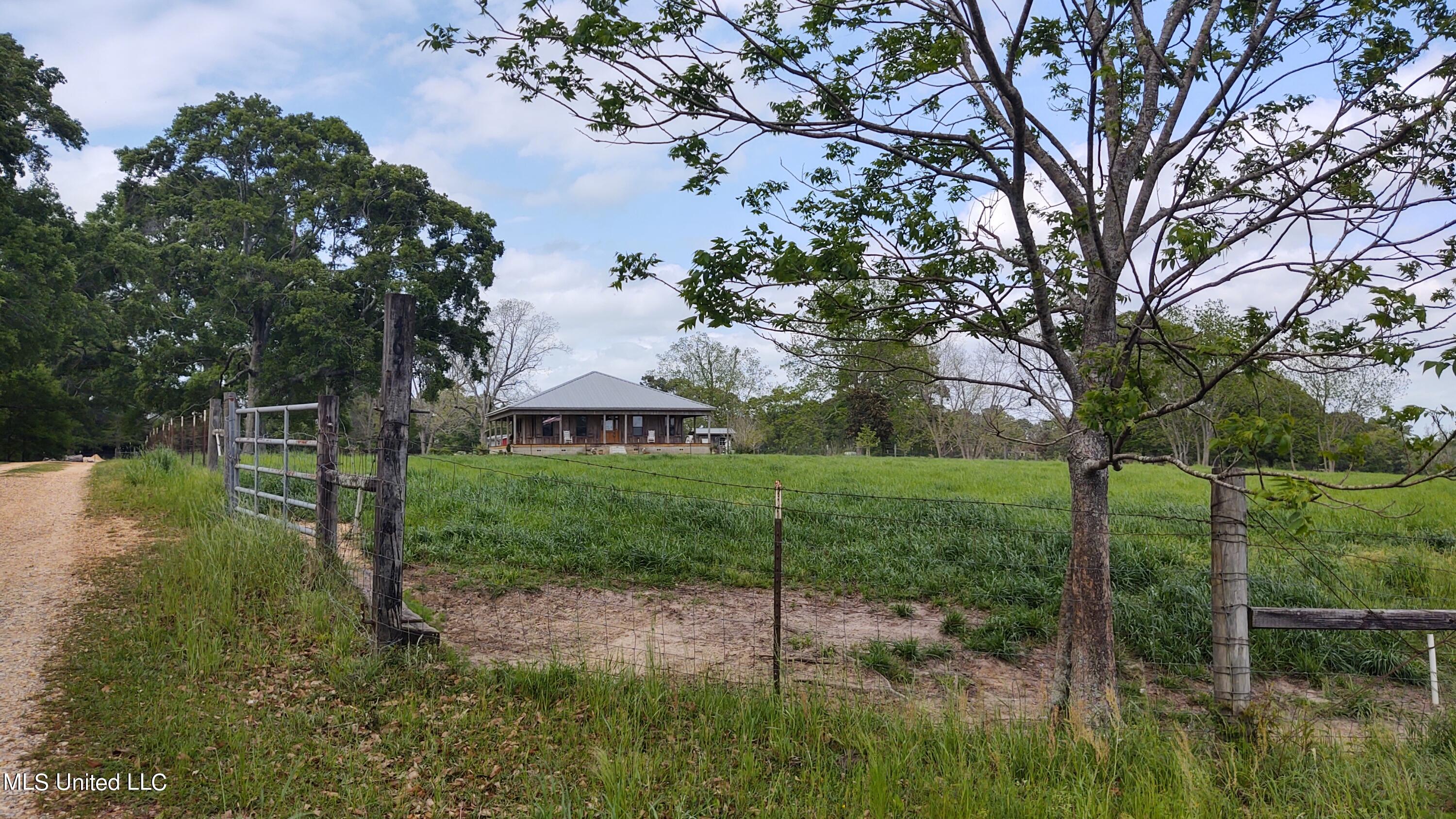 467 Thomas School Road Lumberton, MS 39455 - Photo 1 of 42 Main view