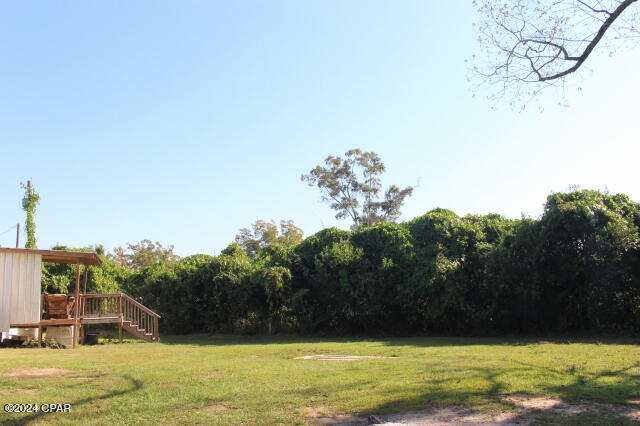 15953 Chipola Street Altha, FL 32421 - Photo 12 of 47