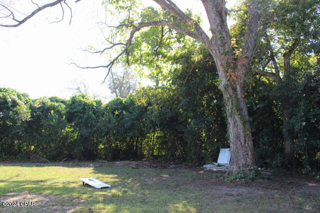 15953 Chipola Street Altha, FL 32421 - Photo 13 of 47