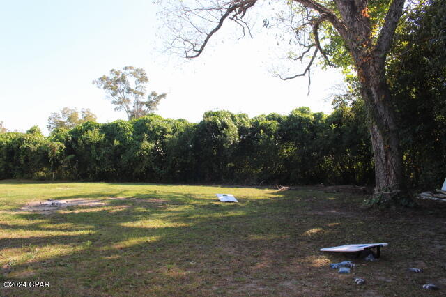 15953 Chipola Street Altha, FL 32421 - Photo 26 of 47