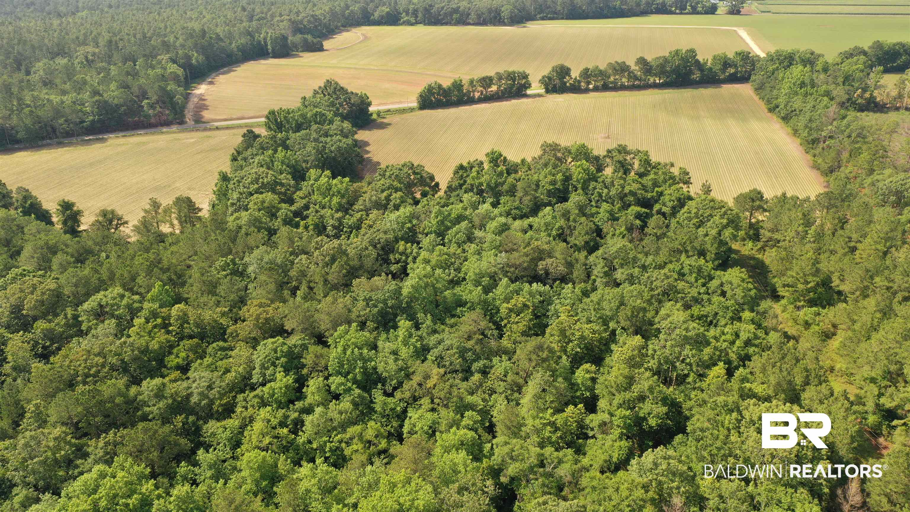1 Travis Road Brewton, AL 36426 - Photo 14 of 28
