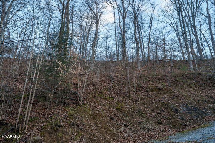 0 Dunn Hollow Road Sevierville, TN 37862 - Photo 1 of 8