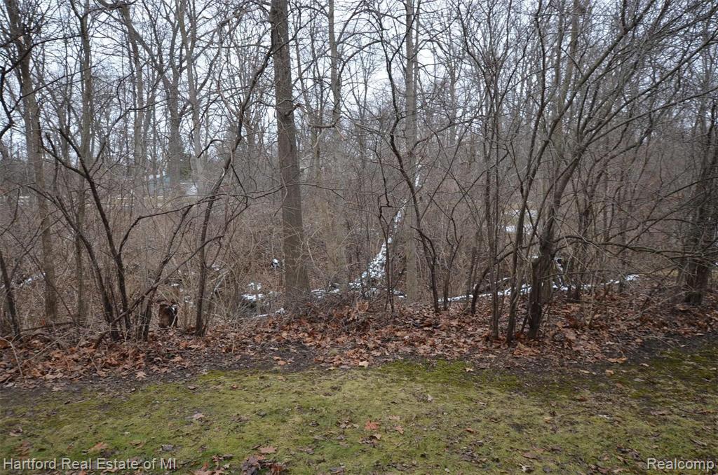 23428 Middlebelt Road, Unit 13 Farmington Hills, MI 48336 - Photo 13 of 14