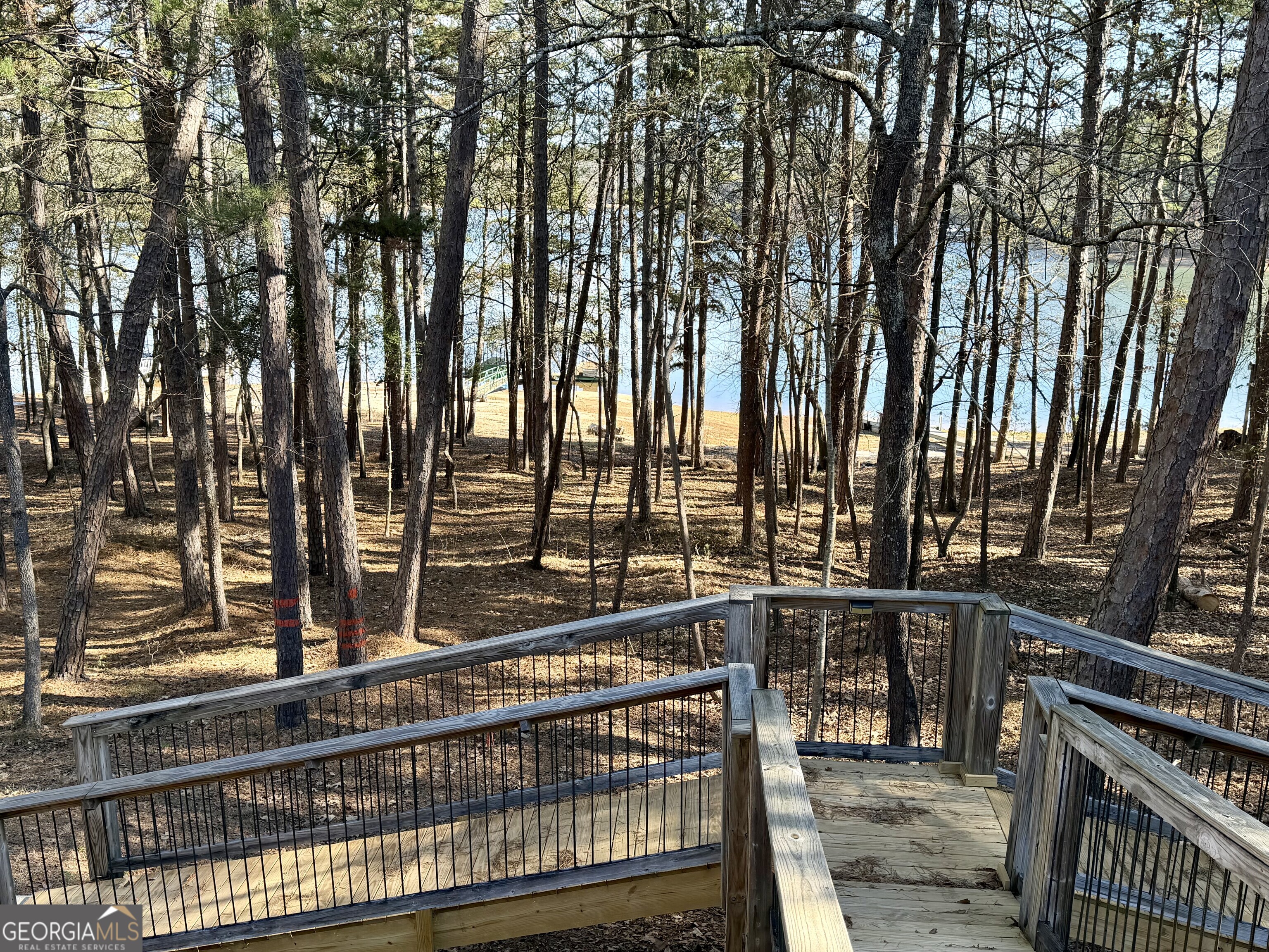 287 Spring Branch Circle Toccoa, GA 30577 - Photo 3 of 3