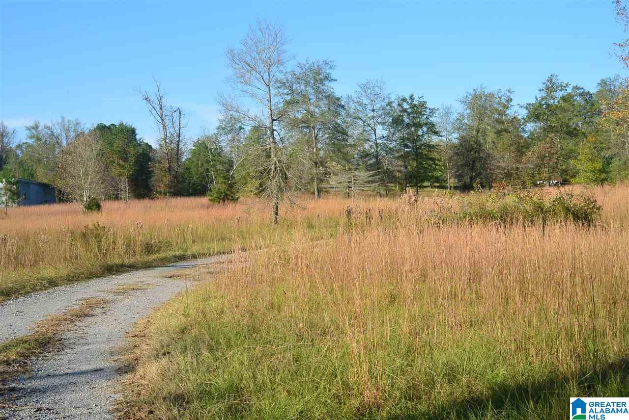 2238 Bear Creek Road Brent, AL 35034 - Photo 34 of 34