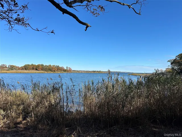 a view of a water pond with lots of green space