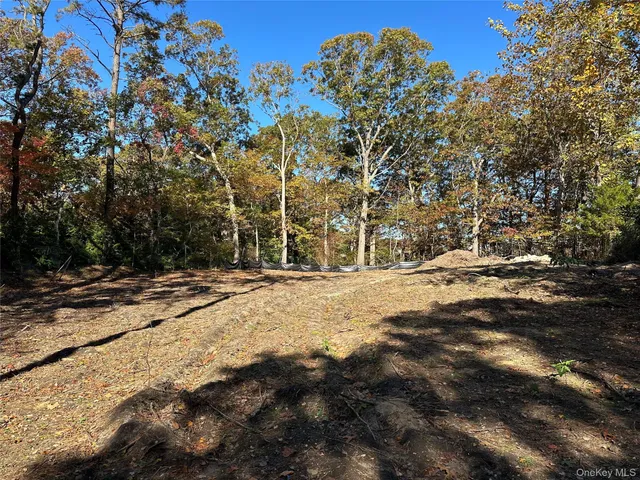 a view of road and trees