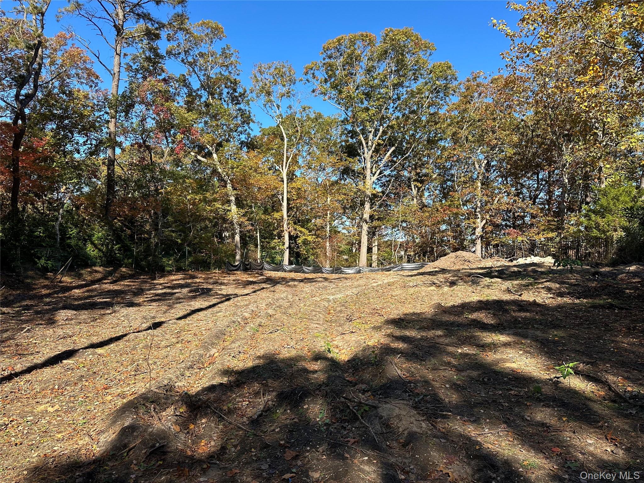 910 Flanders Road Flanders, NY 11901 - Photo 3 of 9 a view of road and trees