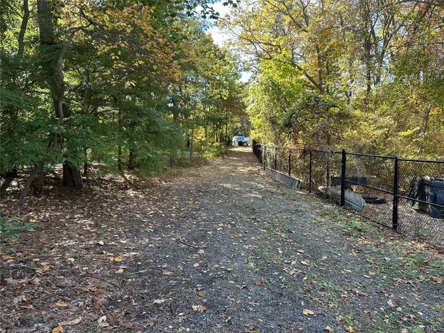 a view of a forest with trees in the background