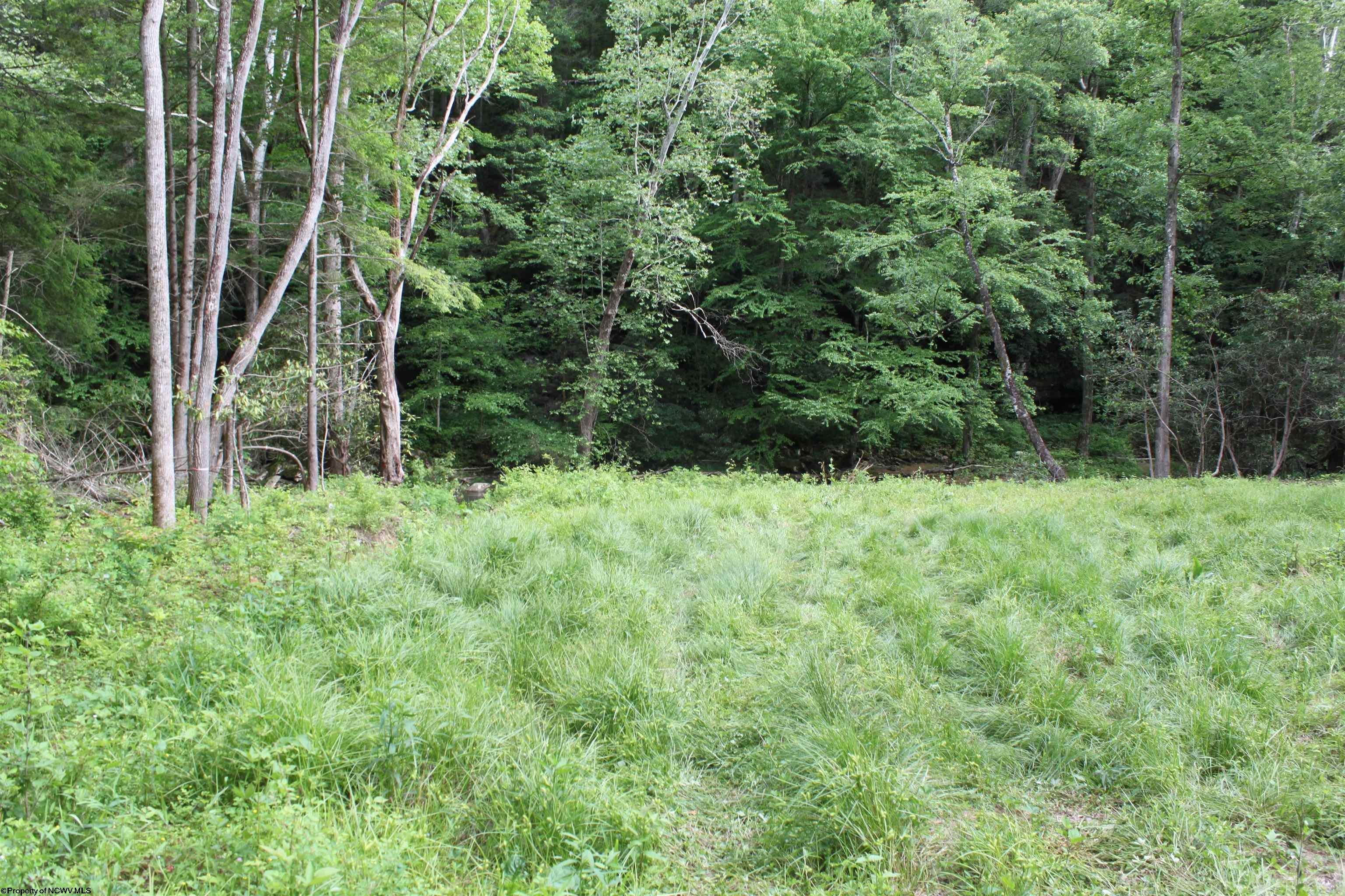 390 Big Sycamore Road Webster Springs, WV 26288 - Photo 5 of 17 Gallery Image 5
