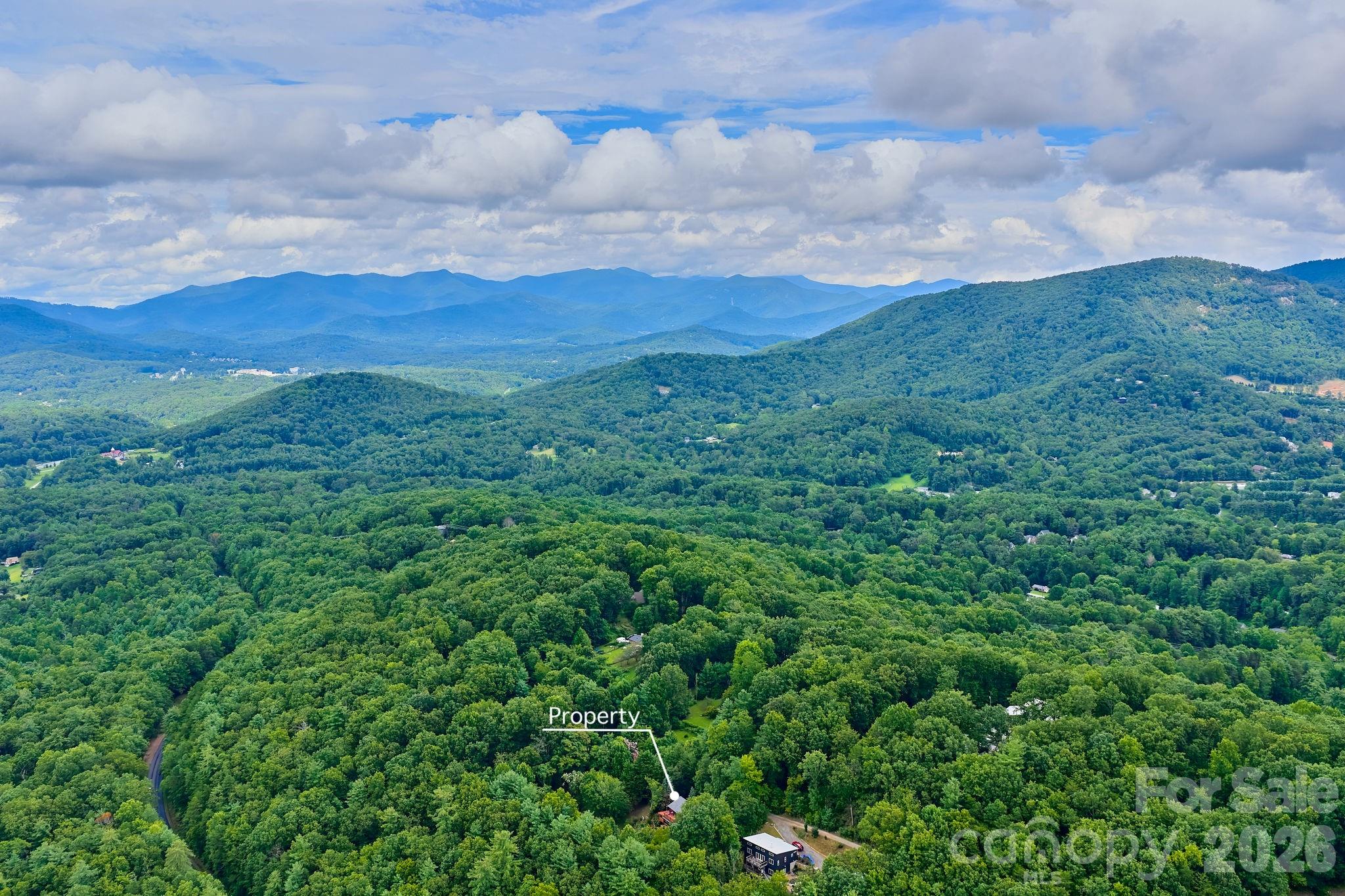 150 Avondale Ridge Road Asheville, NC 28803 - Photo 16 of 45 a view of a city with lush green forest