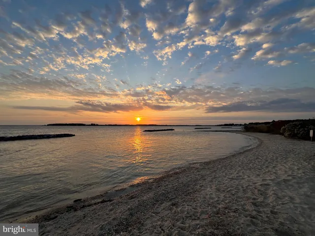 a view of a forest with trees