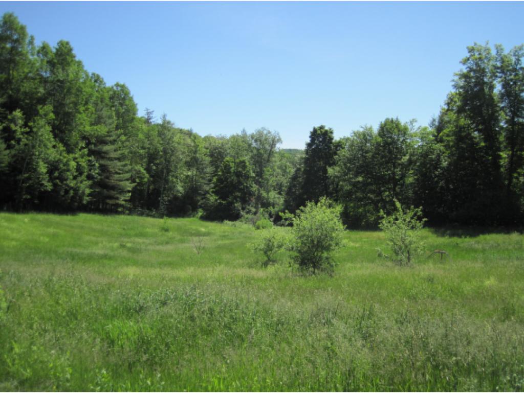 138 Dix Road Hardwick, VT 05843 - Photo 2 of 22