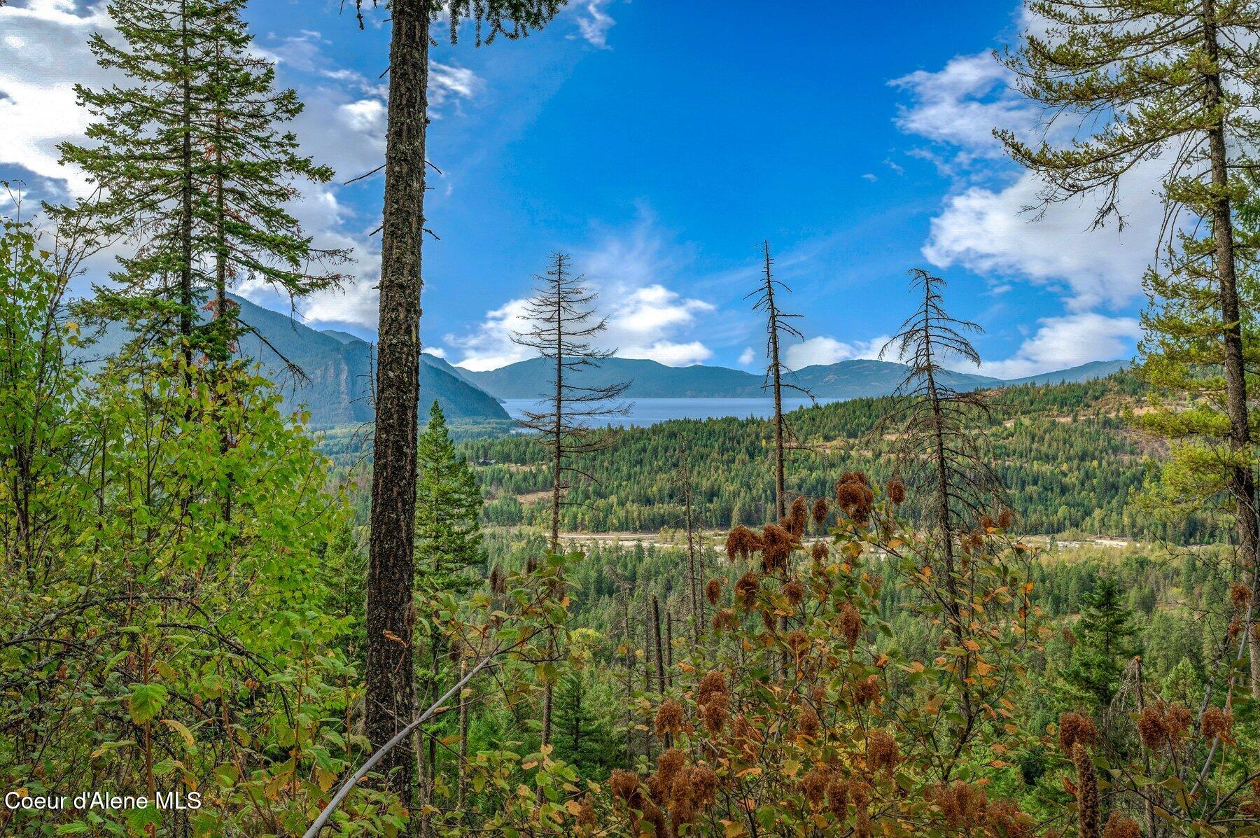 818 Silver Creek Road Clark Fork, ID 83811 - Photo 7 of 45 Panoramic Views