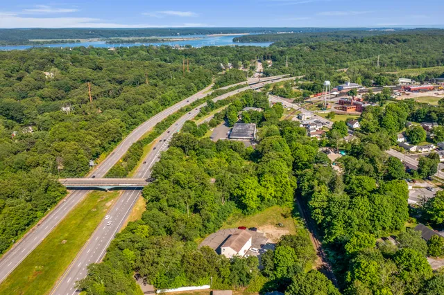 a view of a city with lush green forest