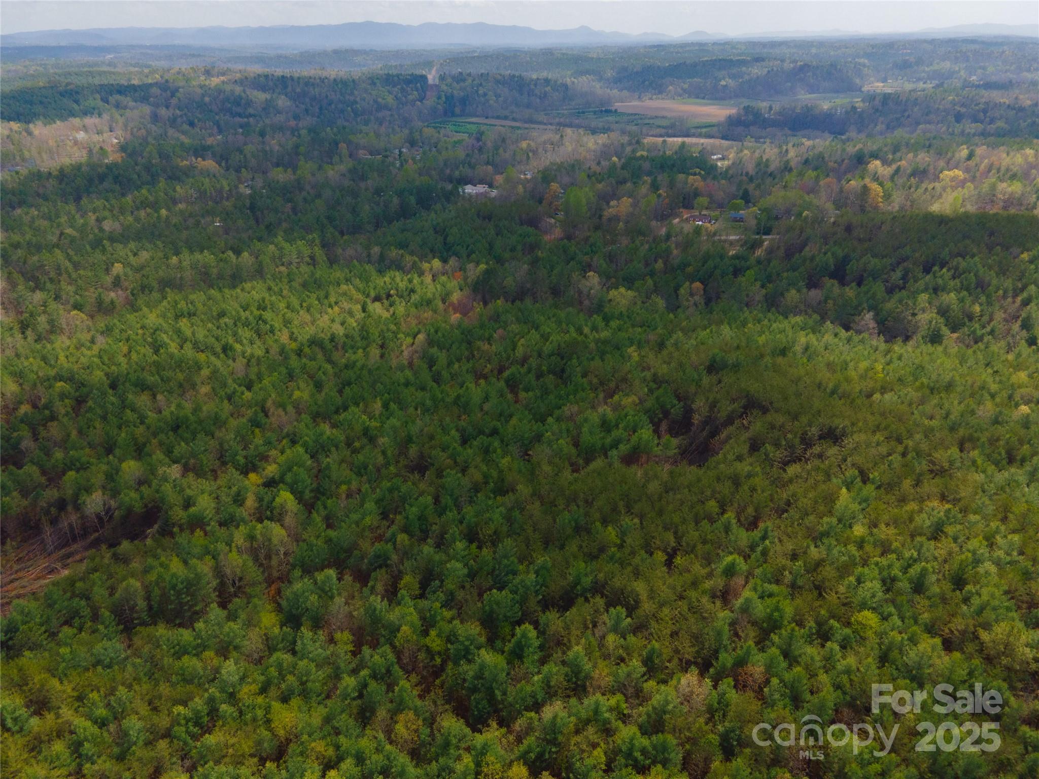 3824 Piedmont Road Morganton, NC 28655 - Photo 6 of 25 Gallery Image 6
