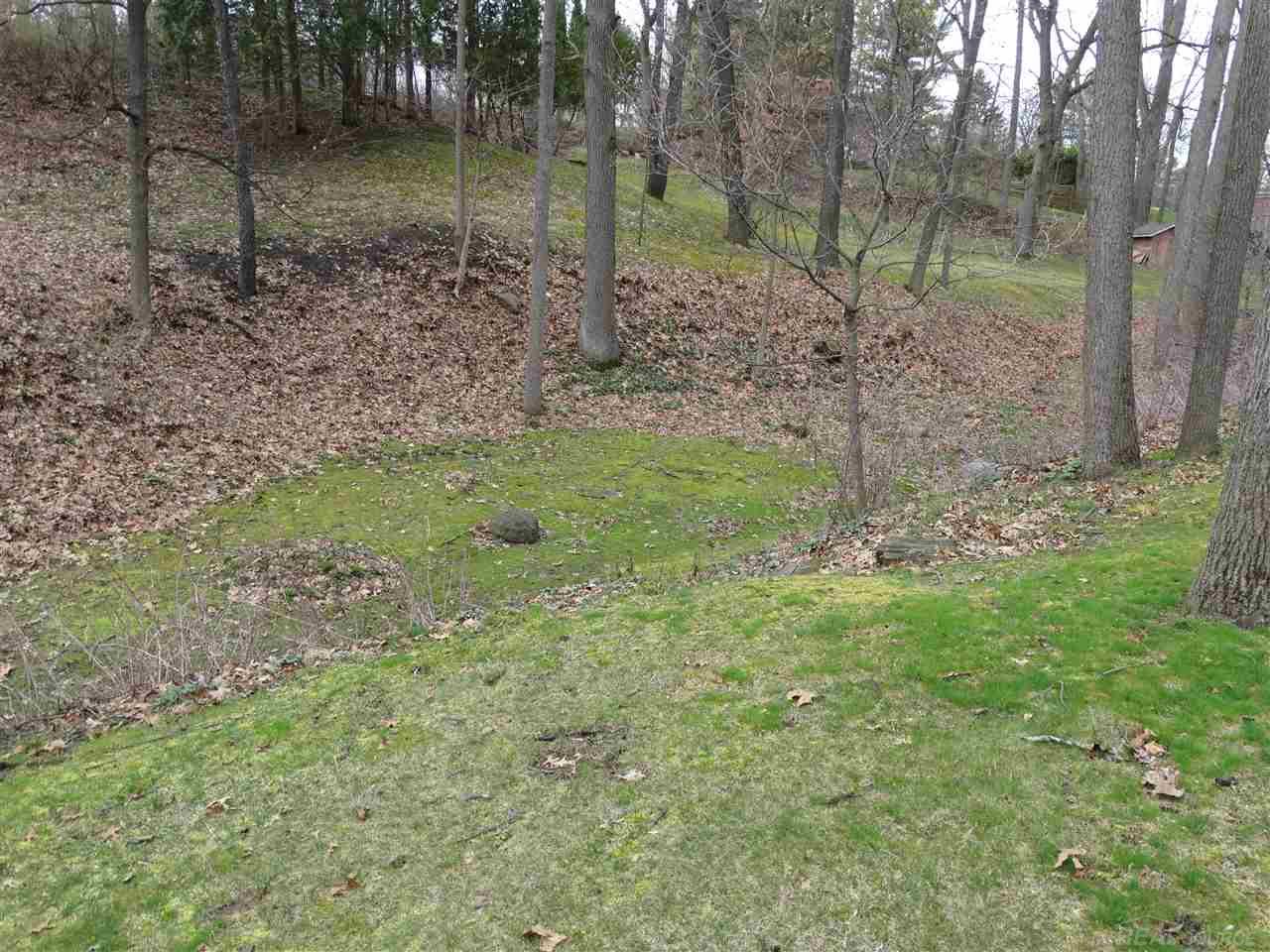625 Ridgewood Road Rochester, MI 48306 - Photo 31 of 32