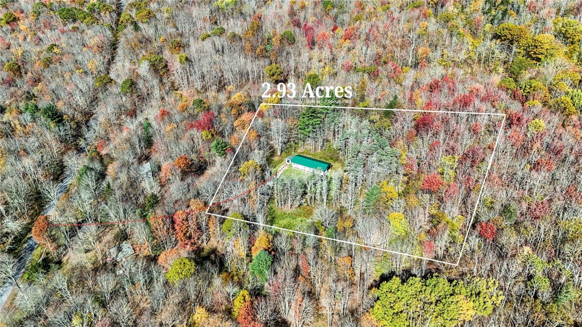 907 Skip Gray Road Colchester, NY 13752 - Photo 4 of 20