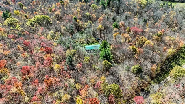 $175,000 | 907 Skip Gray Road, Colchester, NY 13752