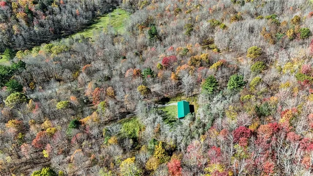 $175,000 | 907 Skip Gray Road, Colchester, NY 13752