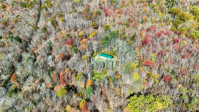 $175,000 | 907 Skip Gray Road, Colchester, NY 13752