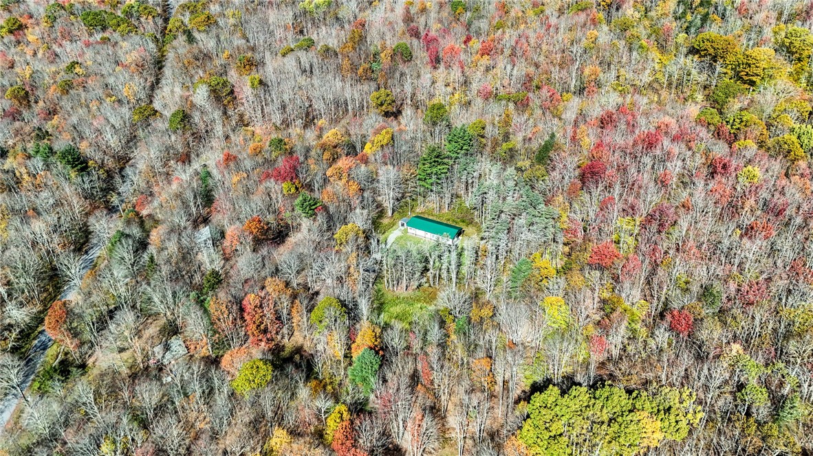 907 Skip Gray Road Colchester, NY 13752 - Photo 7 of 20