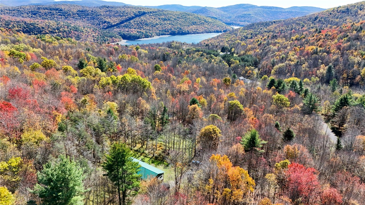 907 Skip Gray Road Colchester, NY 13752 - Photo 8 of 20