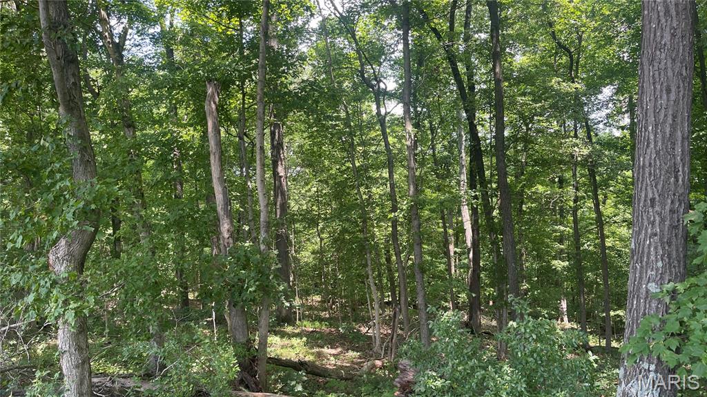920 South Poplar Camp Road Makanda, IL 62958 - Photo 29 of 53