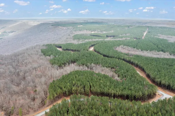 a view of a lake from a yard