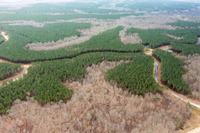 an aerial view of a houses with outdoor space and street view