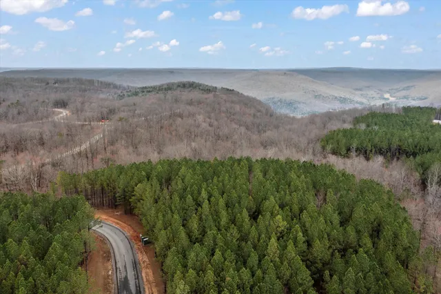 a view of a backyard with trees