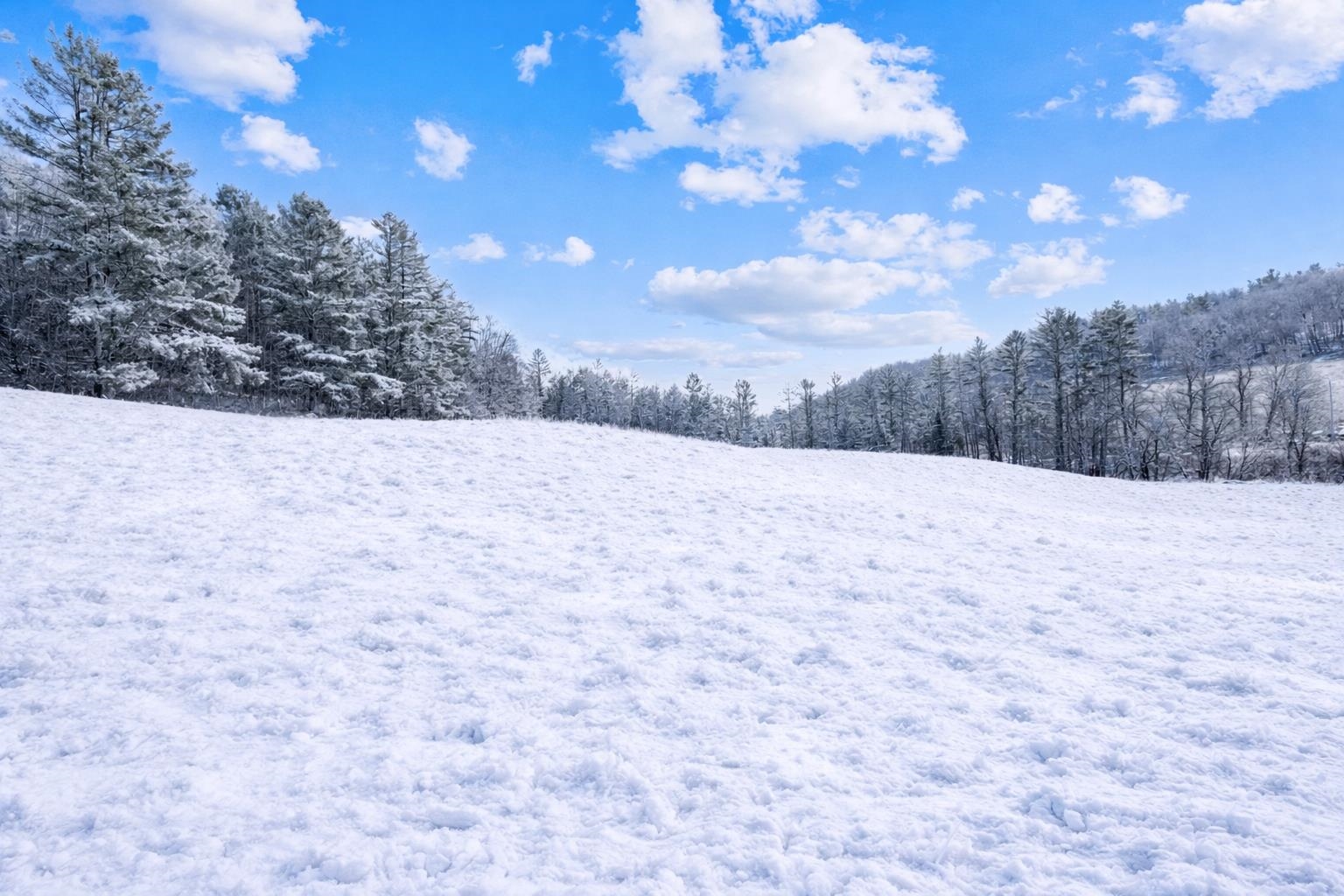 292 Brook Road Chelsea, VT 05038 - Photo 10 of 41