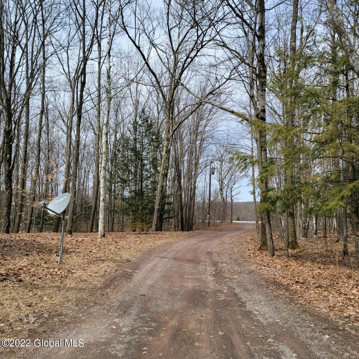 251 County Rte 359 Rensselaerville, NY 12147 - Photo 7 of 32 IMG-0548