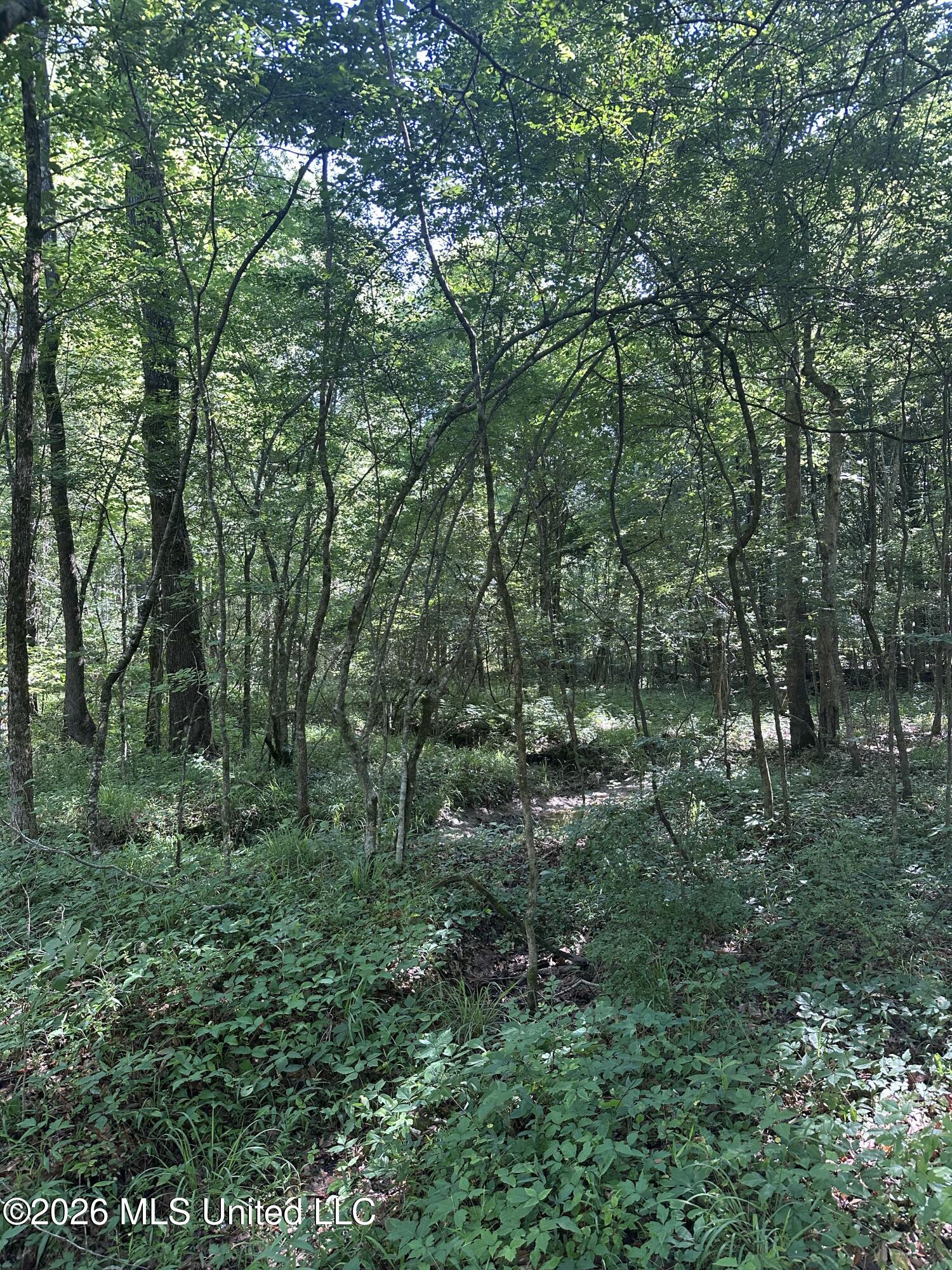 J C Prestage Road Pelahatchie, MS 39145 - Photo 24 of 24 A6519D29-505B-49B3-AEDC-A33E005D45AC