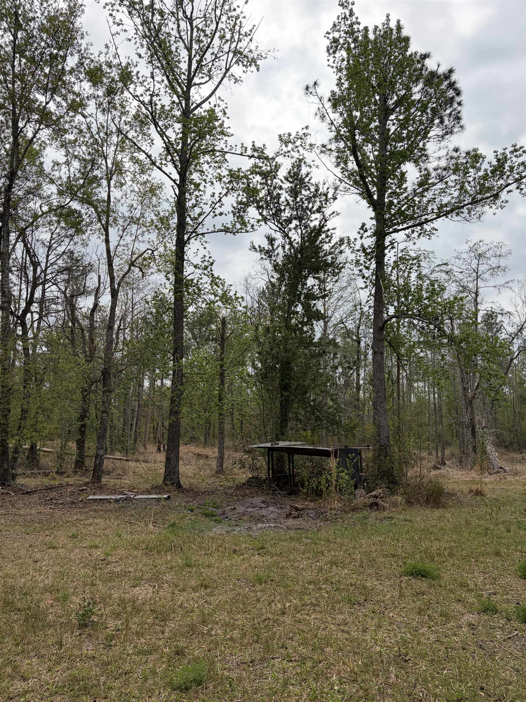 870 Southwest San Pedro Road Madison, FL 32340 - Photo 9 of 44