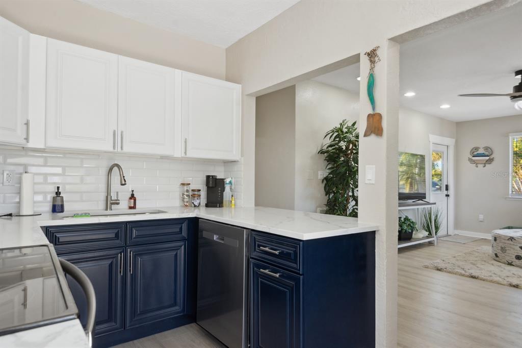 1214 Bay Pine Boulevard Indian Rocks Beach, FL 33785 - Photo 12 of 49 a kitchen with a sink a potted plant and cabinets