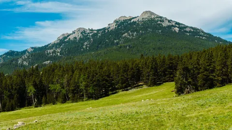 $5,750,000 | Hazelton Road, Buffalo, WY 82834
