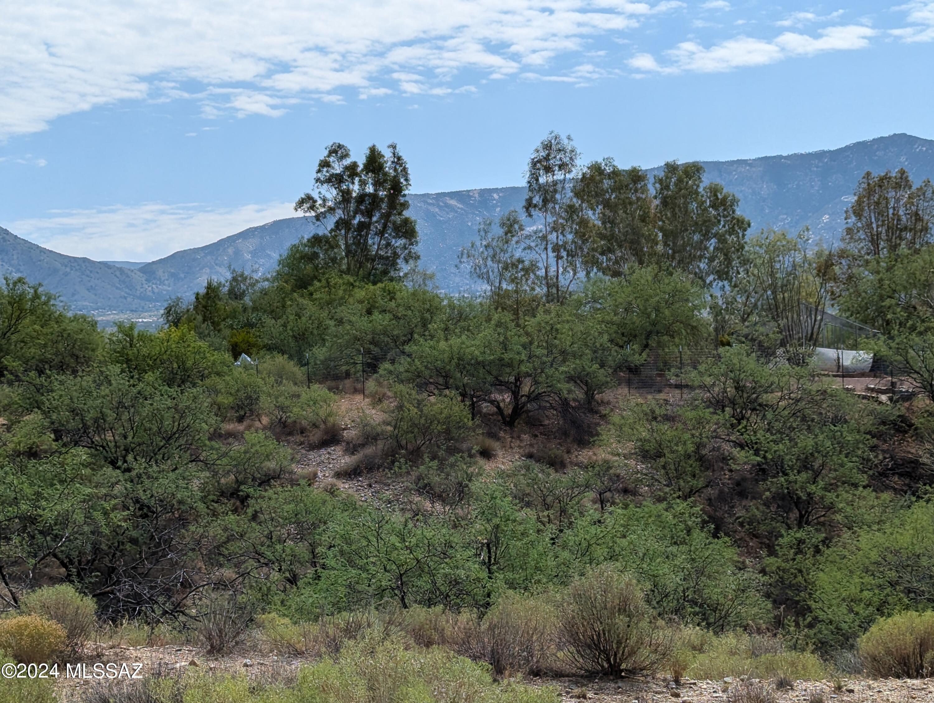 4800 East Edwin Road Tucson, AZ 85739 - Photo 5 of 12 Gallery Image 5