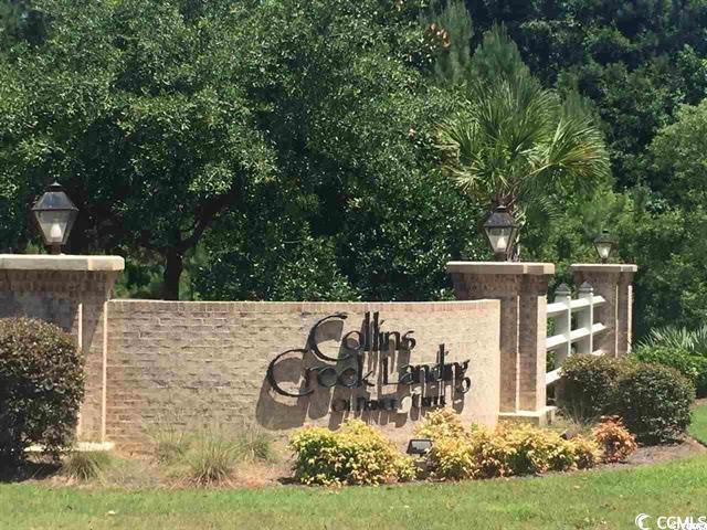 Tbd Woody Point Murrells Inlet, SC 29576 - Photo 4 of 8