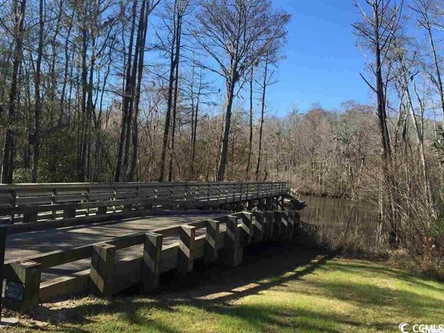 Tbd Woody Point Murrells Inlet, SC 29576 - Photo 6 of 8