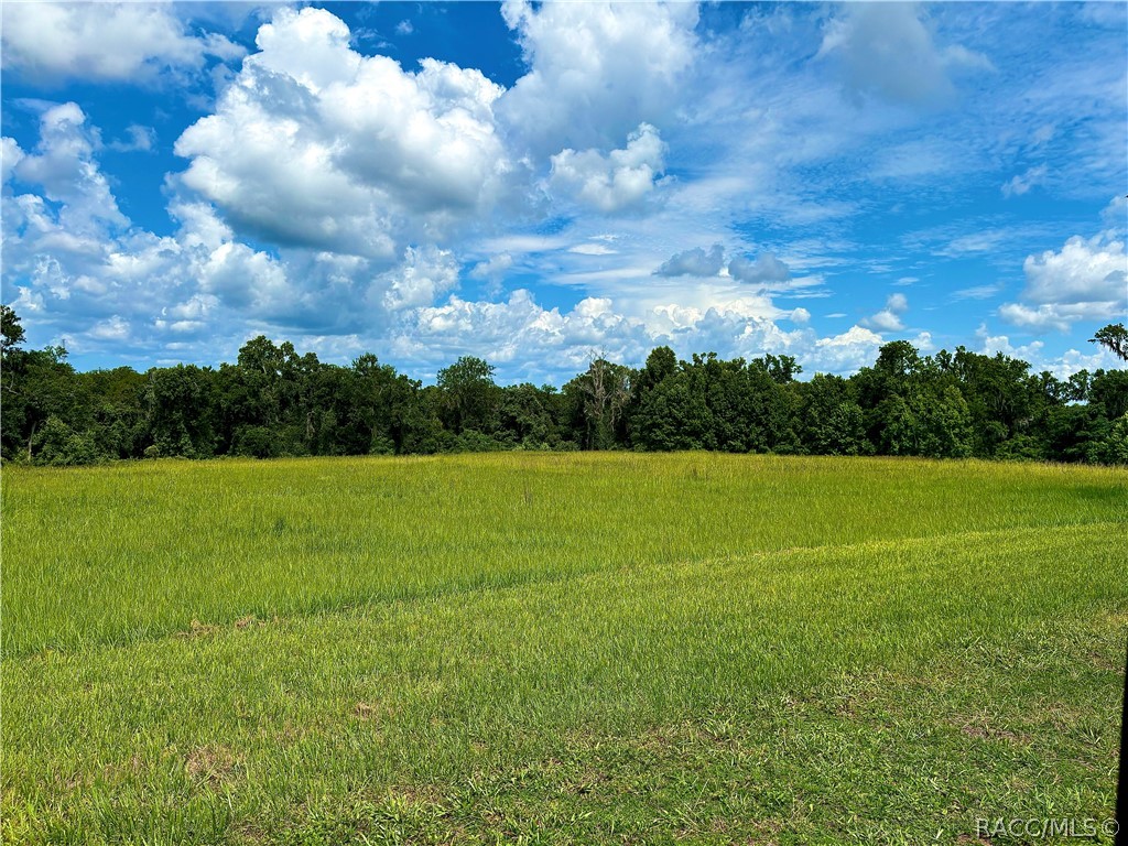 a view of a green field with clear sky