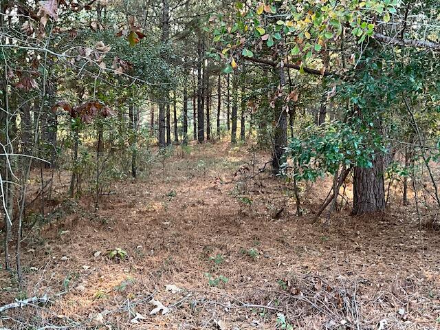 W/sd W/sd New Holland Road Wagener, SC 29164 - Photo 3 of 6