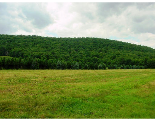 0 Mountain Road Hatfield, MA 01038 - Photo 1 of 1 Gallery Image 1