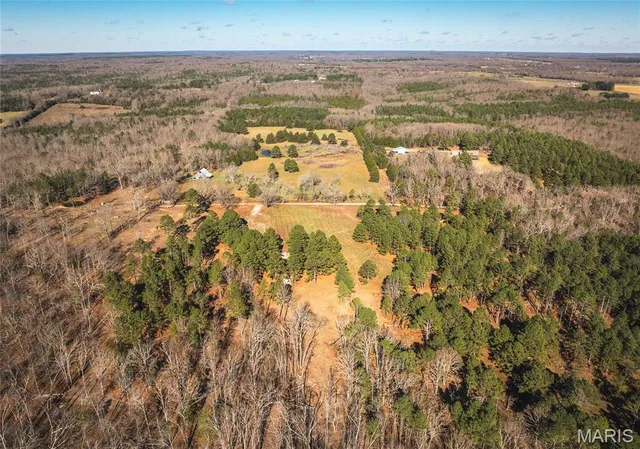 $450,000 | 17029 Deason Drive, Licking, MO 65542