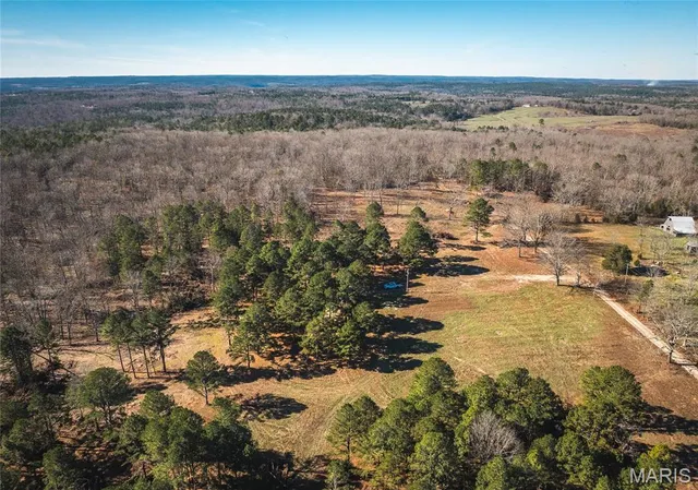 $450,000 | 17029 Deason Drive, Licking, MO 65542