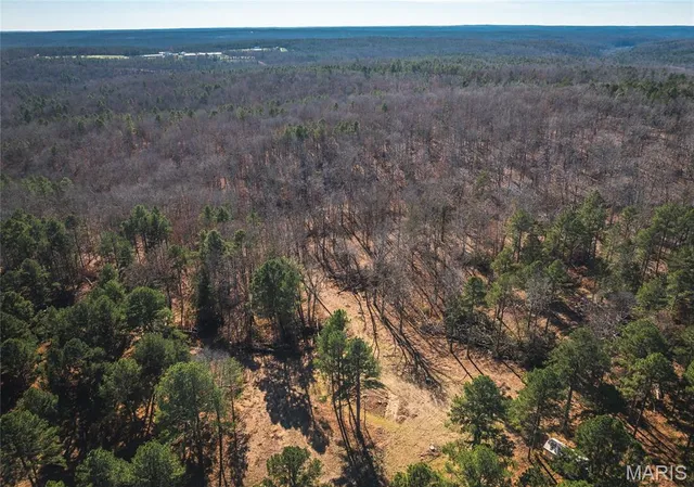 $450,000 | 17029 Deason Drive, Licking, MO 65542